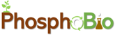 Logo_PhosphoBio