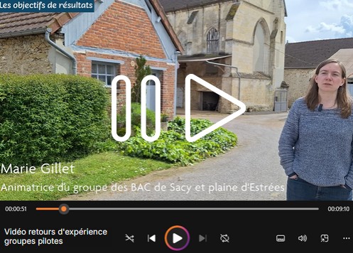 video REX